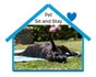 Pet Sit and Stay