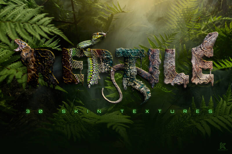 Reptile Skin Textures