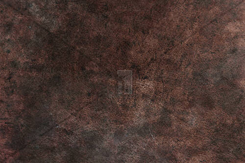 Artistic Background Texture Bark