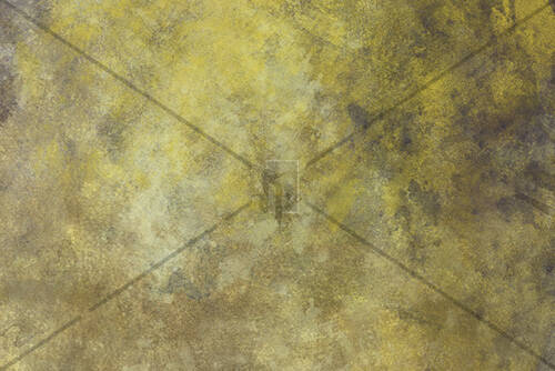 Artistic Background Texture Fungus