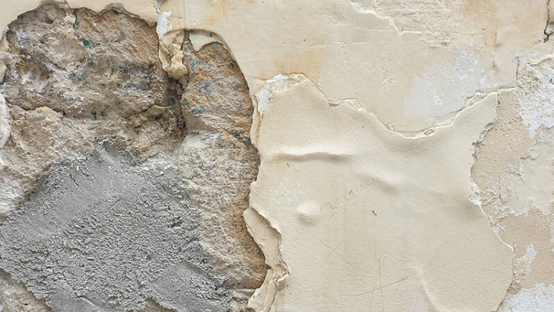 Cracked Damp Wall