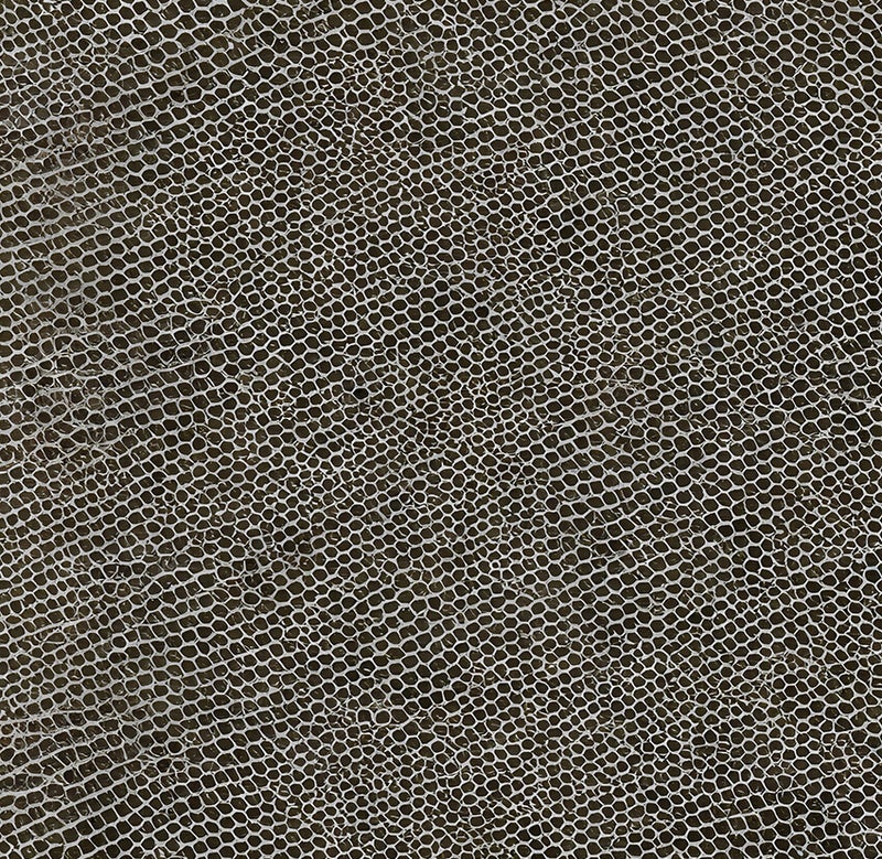 Reptile Skin Texture
