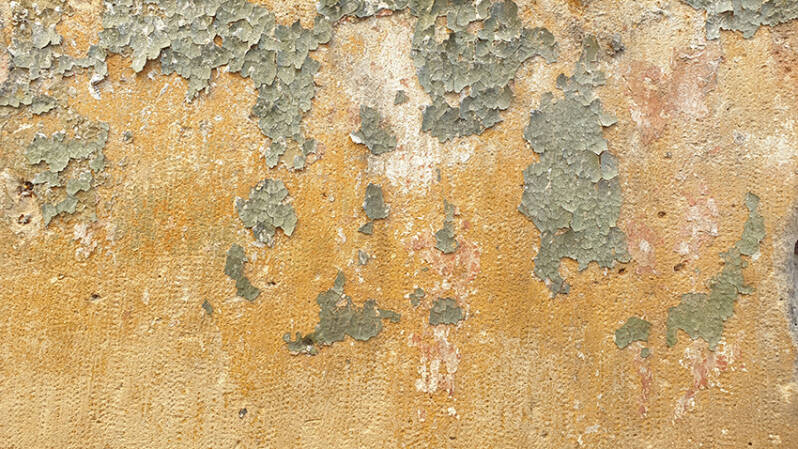 Peeled Paint Wall