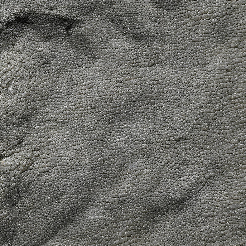 Reptile Skin Texture