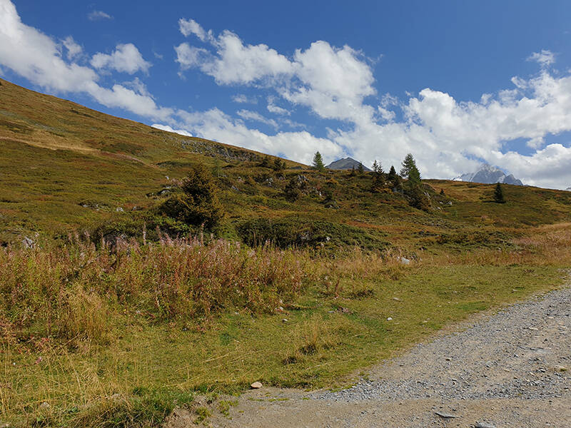 Valley Mountain Photo