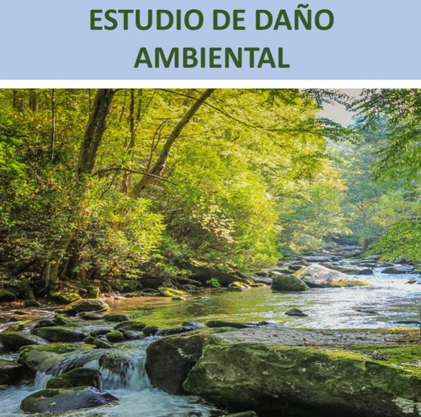 ESTUDIO DE DAÑO AMBIENTAL (EDA)