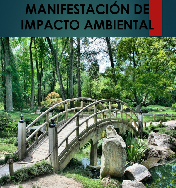 MANIFESTACIÓN DE IMPACTO AMBIENTAL (MIA).