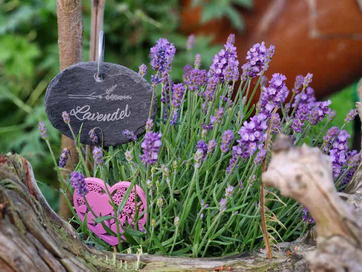 32 verschiedene Schiefer Pflanzenschilder