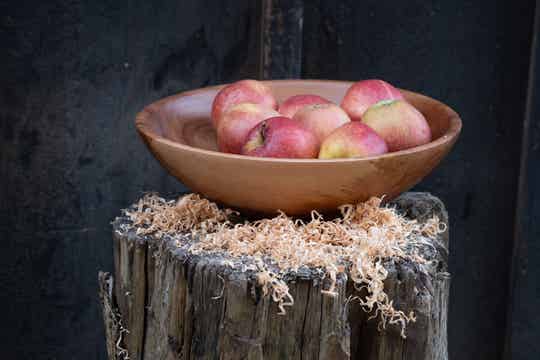 Obstschüssel vom Apfelbaum
