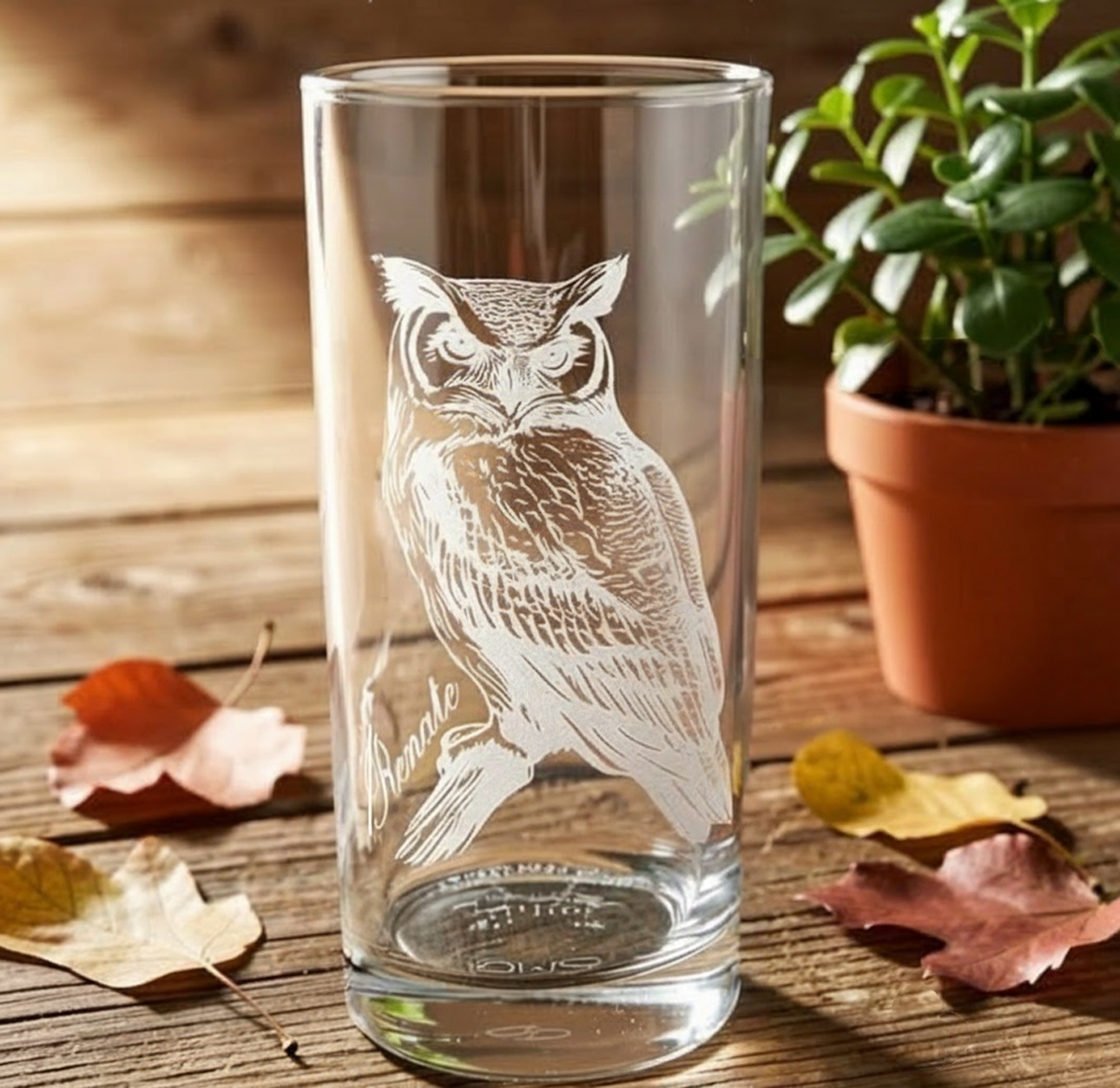 Stiller Begleiter – Eulen-Trinkglas 0,5 l mit optionalem Namen