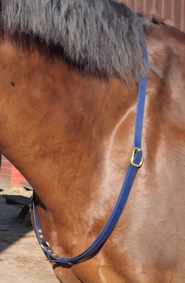 neckrope (zilver en neo chrome)