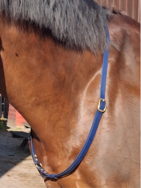 neckrope (goud en zwart)