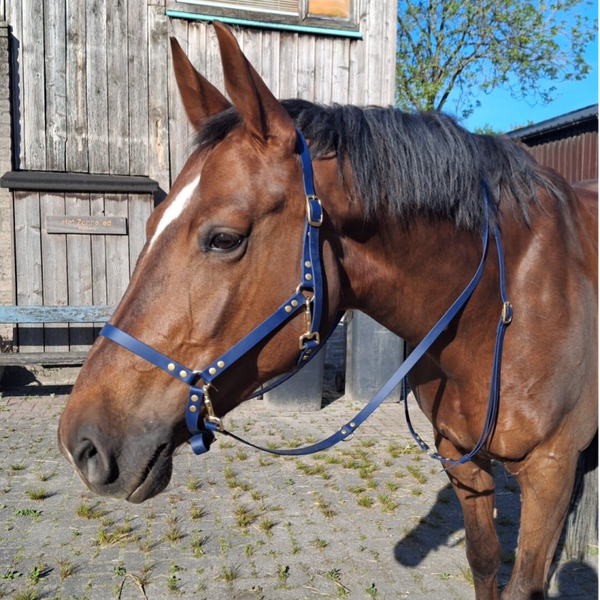 halster (zilver en neo chrome)