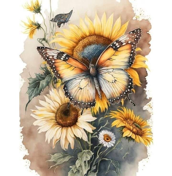 Papillon