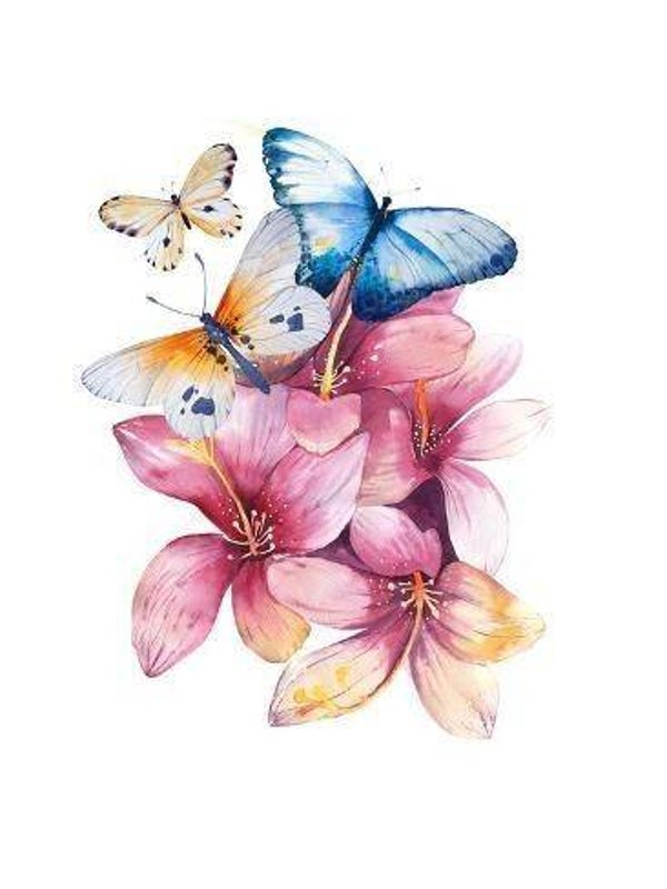 Papillon