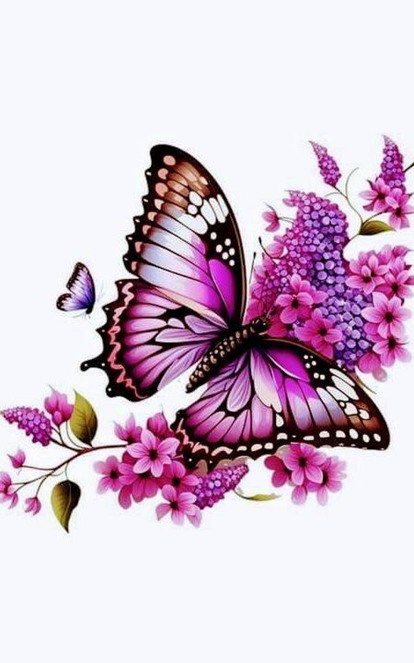 Papillon