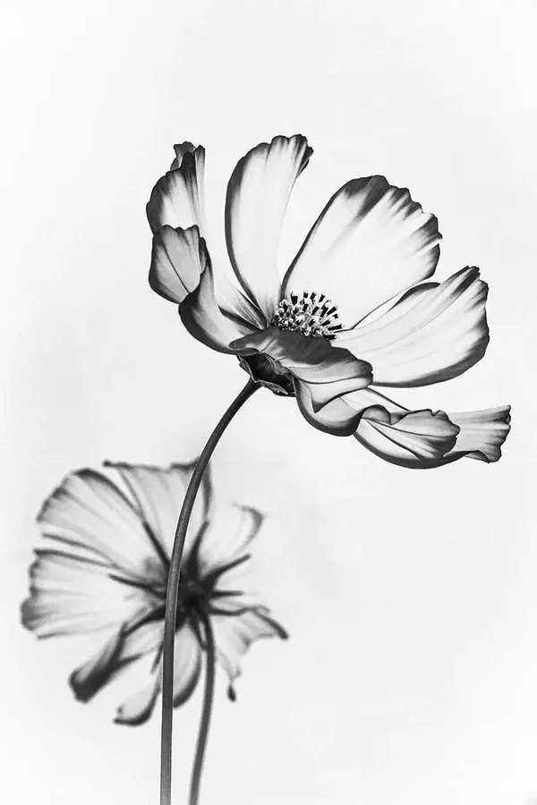 Papier à colorier