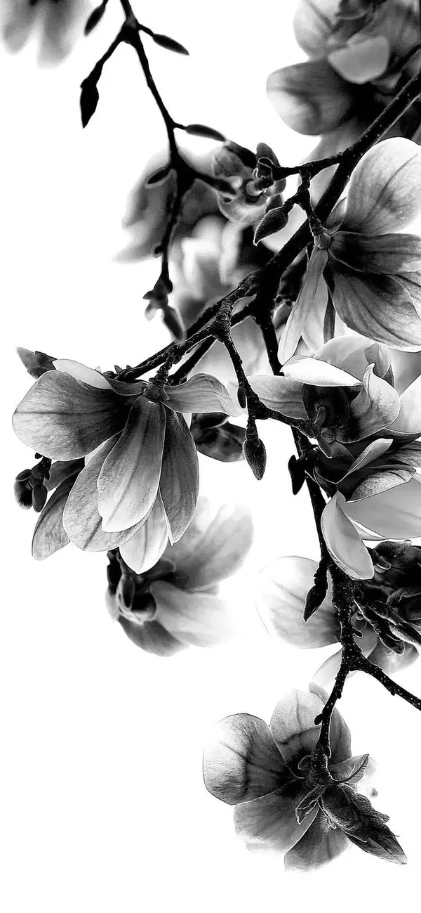 Papier à colorier