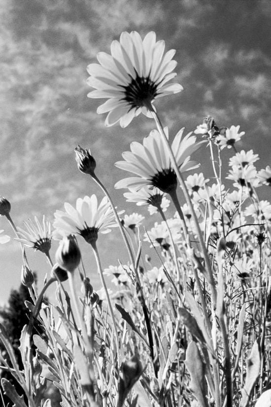 Papier à colorier