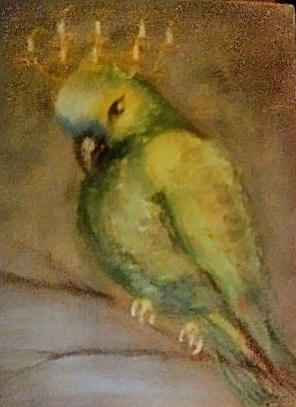 Parrot in another light