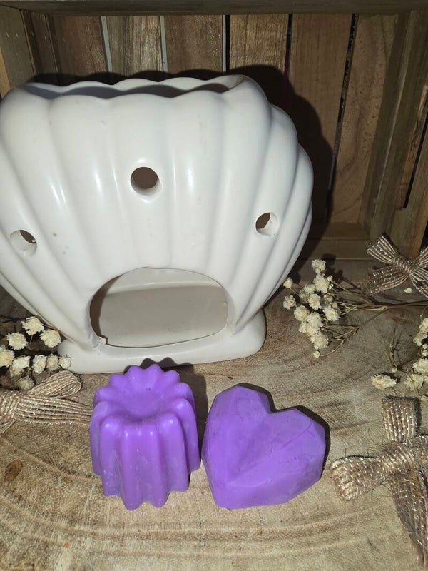 Fondants Parfumés Dove