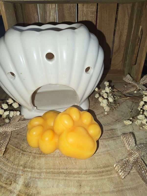 Fondants Parfumés Lenor orchidée dorée