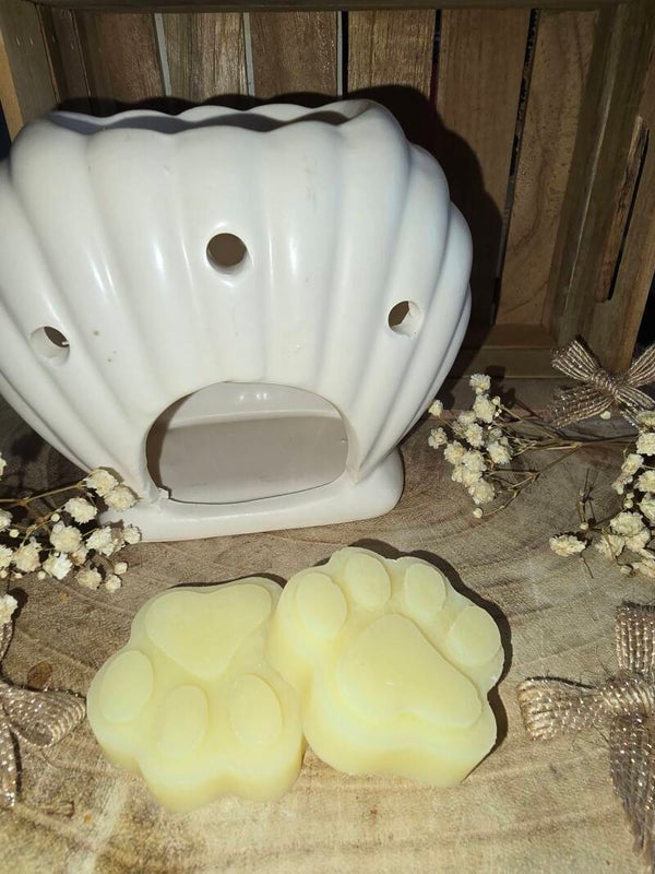 Fondants Parfumés Poudre de Perlimpimpin
