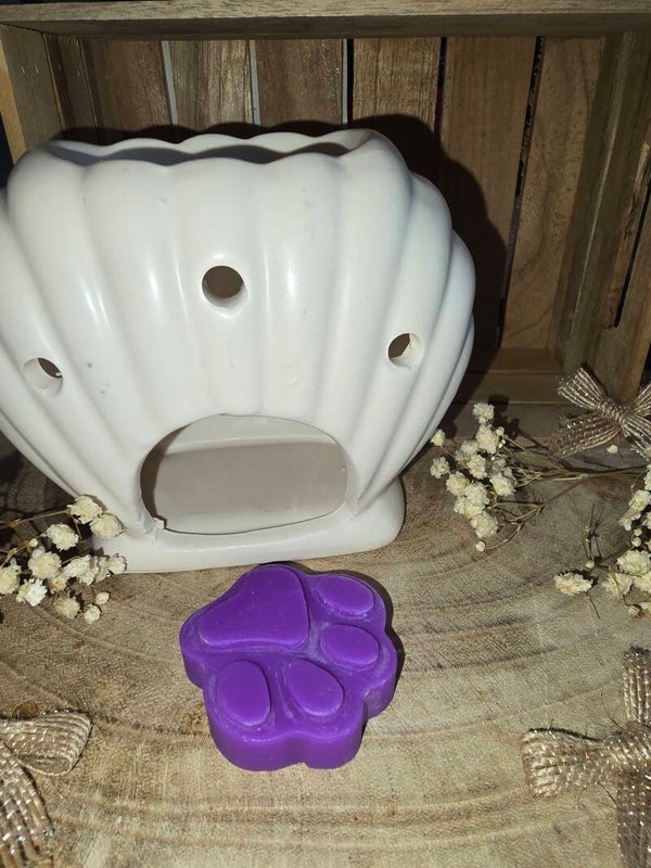 Fondants Parfumés Le Mâle