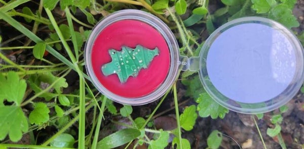 FONDANT PARFUMÉ SAPIN