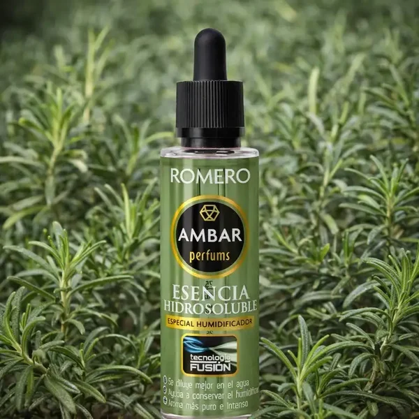 ESSENCE CONCENTRÉ AMBAR AU ROMARIN