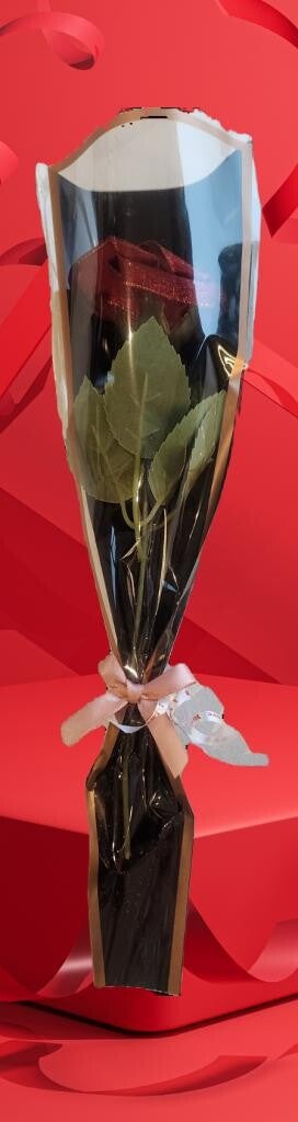 Rose éternelle Satin rouge