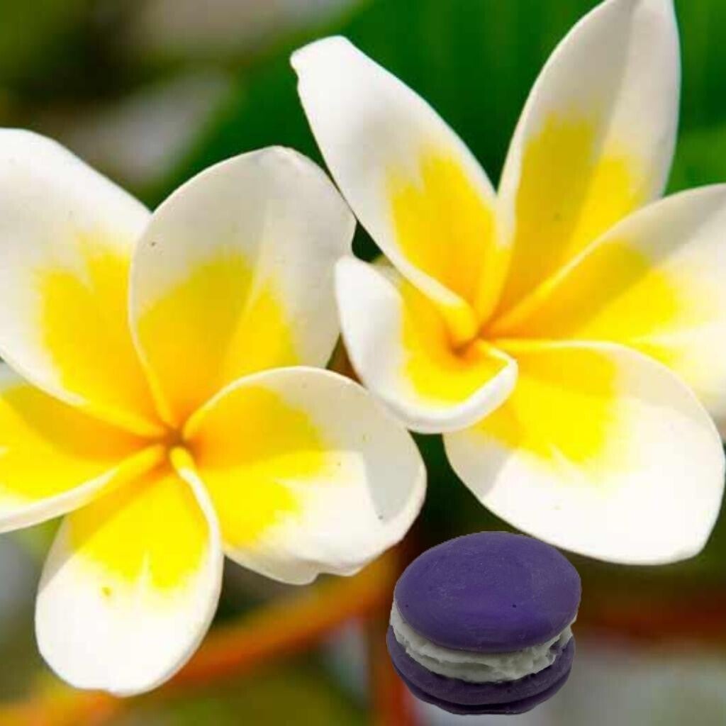 Fondant parfumé Macaron "Monoï"