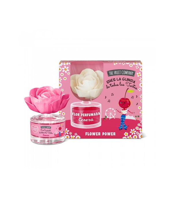 COFFRET FLEUR MIKADO THE FRUIT COMPANY CERISE