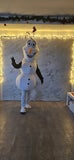 20231125_145157-standard-ku60gc.jpg