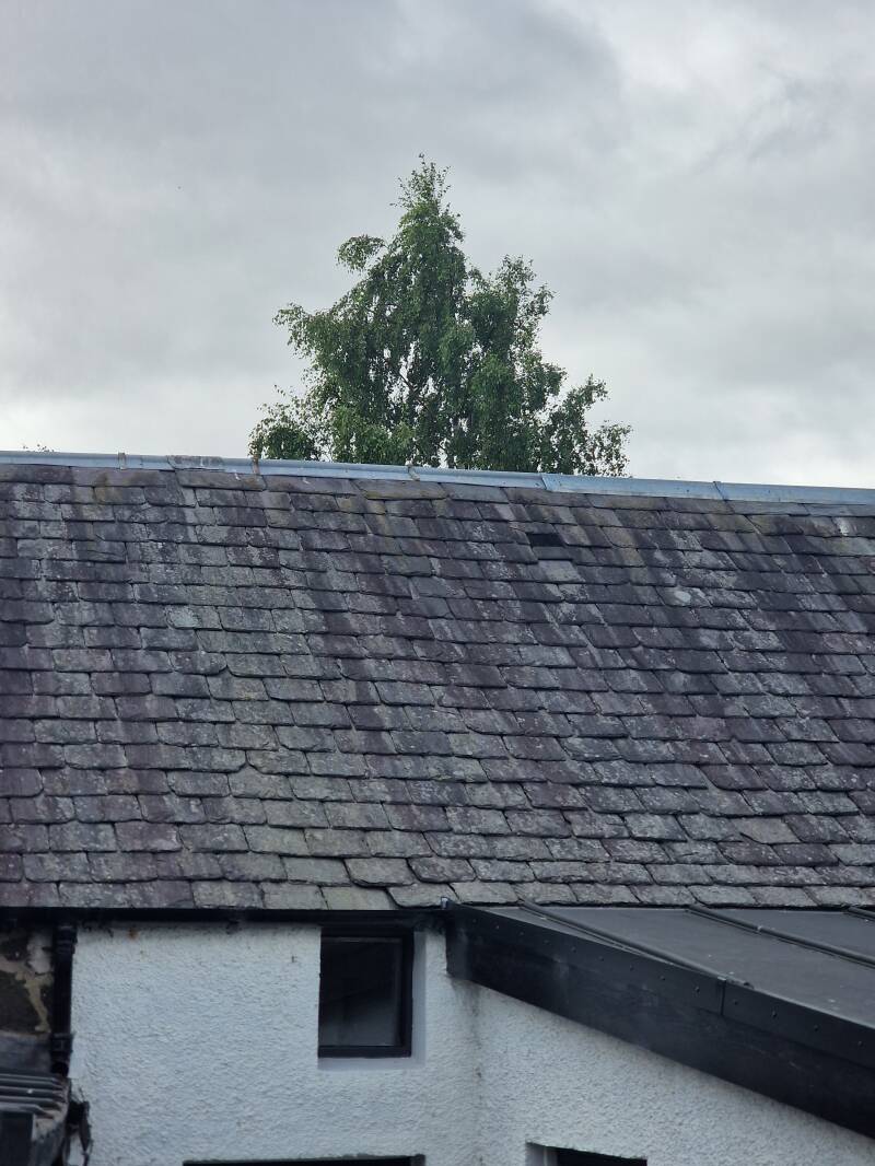Traditional Scottish slate roof madderty Crieff perthshire 