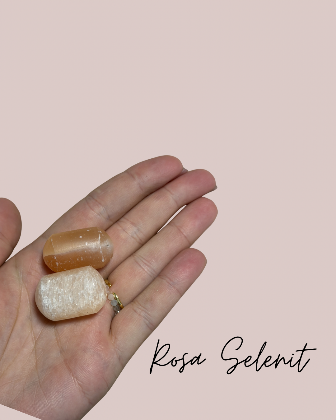 Rosa Selenit
