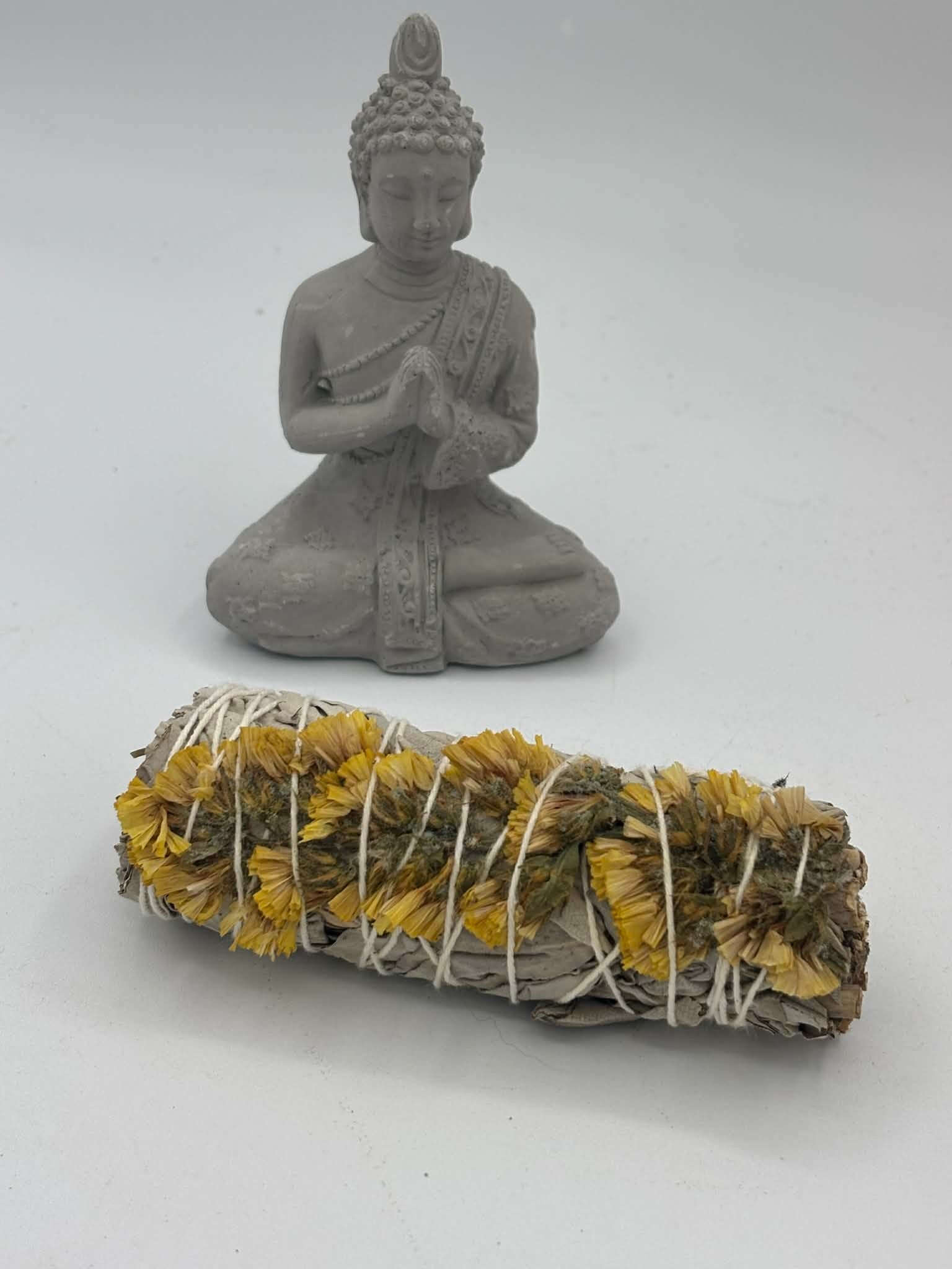 Sauge blanche sinuata jaune
