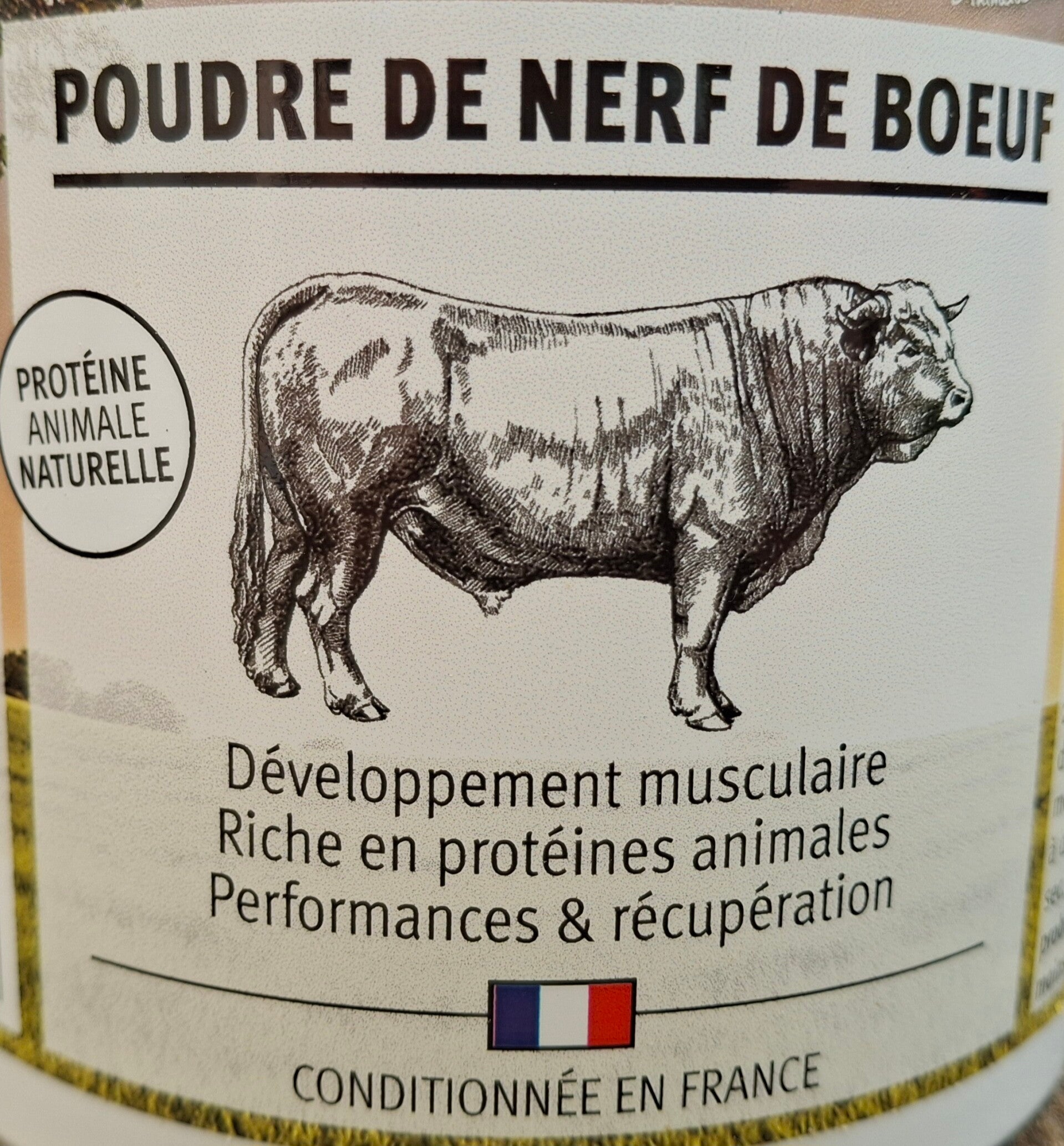 Poudre de nerf de boeuf