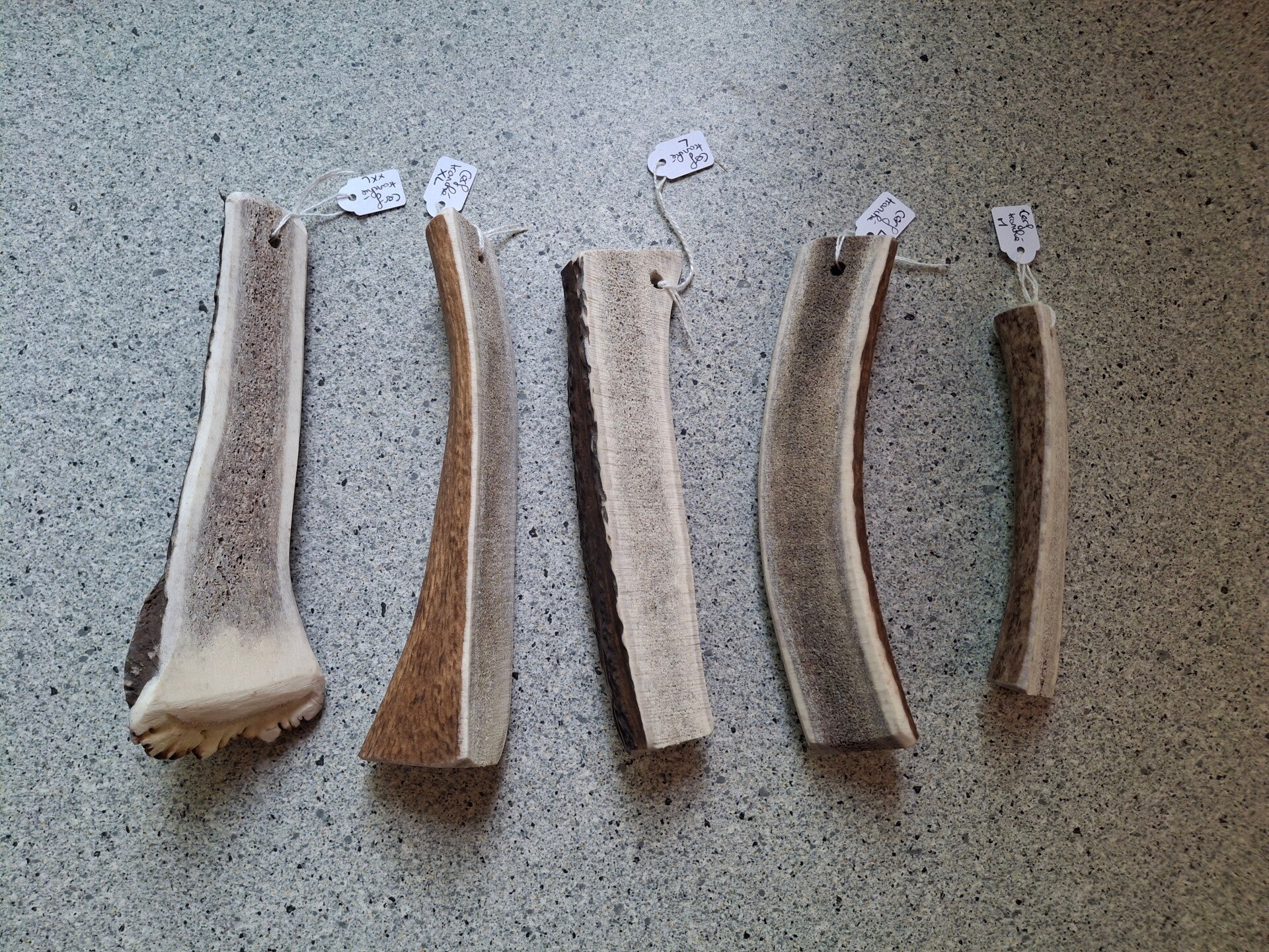 Bois de Cerf tranché