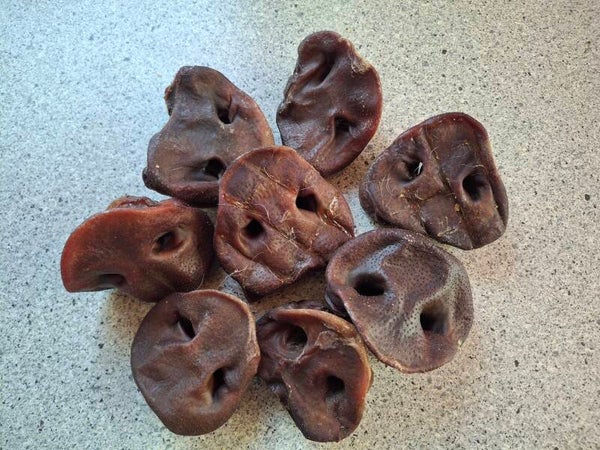 Groin de porc