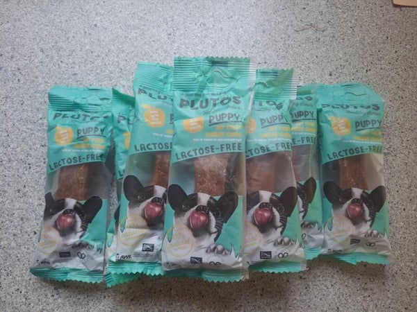 Os Plutos Puppy