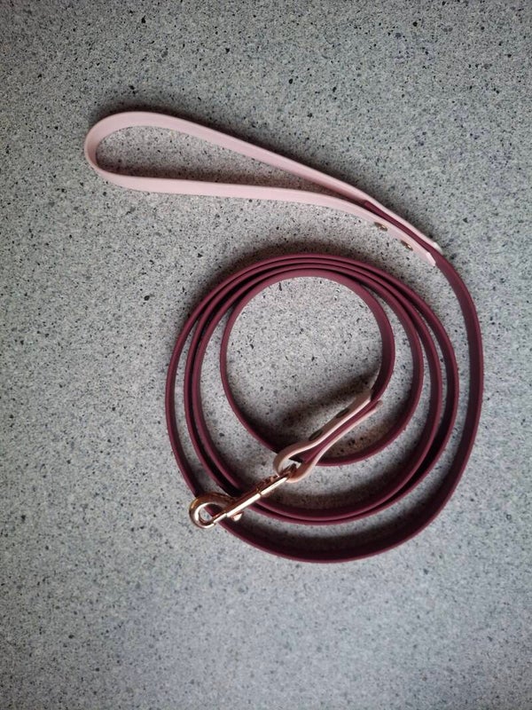 Laisse Biothane 2m20 ⭐️ Nouveauté ⭐️