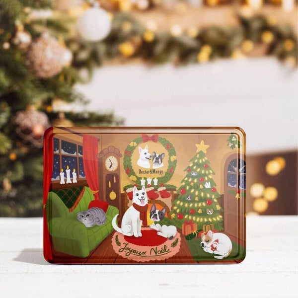 Coffret Noël Dexter&Mango