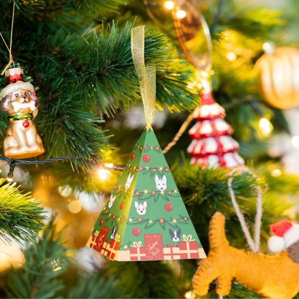 Coffret Stick Dexter&Mango