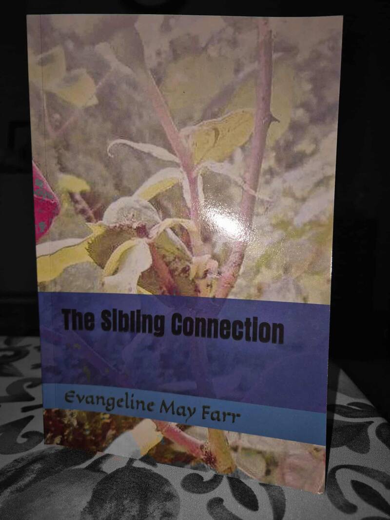 The Sibling Connection Evangeline May Farr