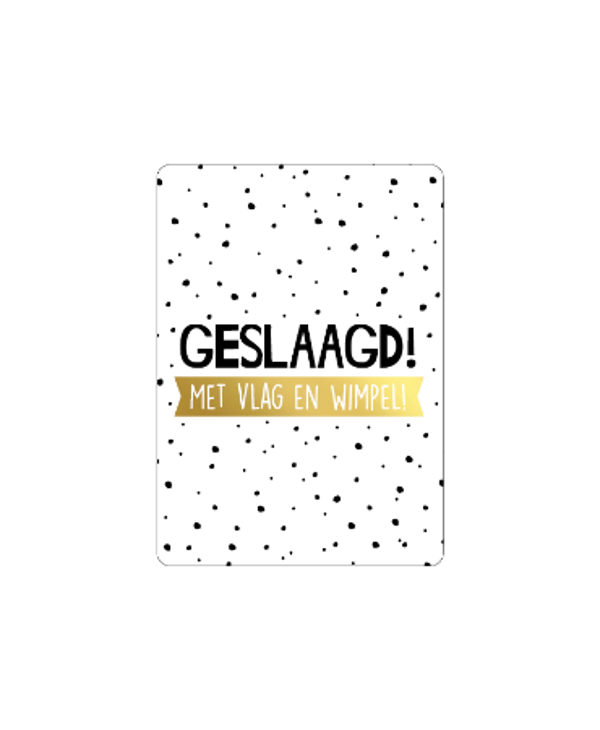 Cadeau Kaartje | Geslaagd met vlag en wimpel