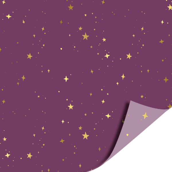 Cadeaupapier | 30 cm | Stars by night | Lilac
