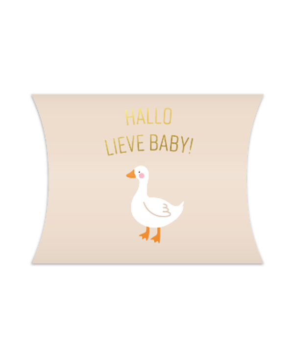 Gondeldoosje | Hallo lieve baby