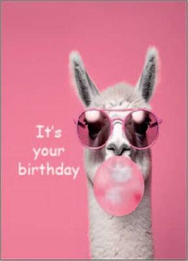 Ansichtkaart  | Ilama | It's your birthday
