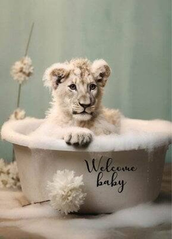 Ansichtkaart | Lion | Welcome baby
